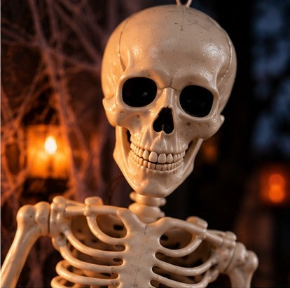 Close-up of the posable skeleton skull